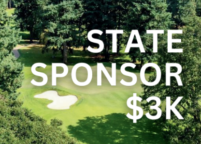 State Sponsorship, $3,000.00